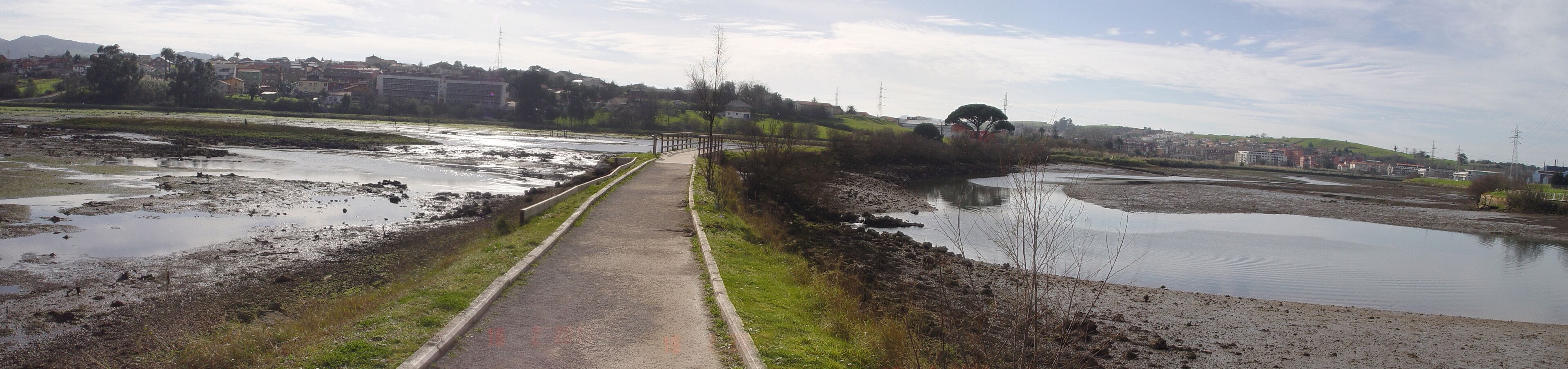 Marismas Negras. El Astillero. Cantabria. Spain. Europe