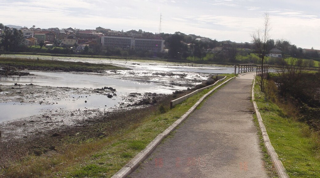 Marismas Negras. El Astillero. Cantabria. Spain. Europe
