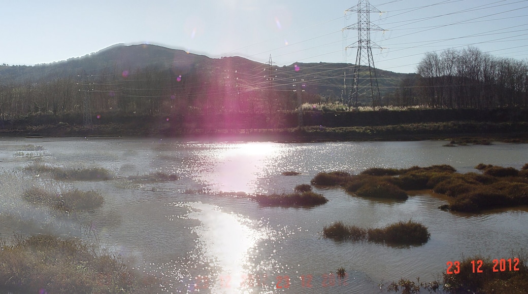 RIA SOLIA -3. ASTILLERO.CANTABRIA.SPAIN.EUROPE