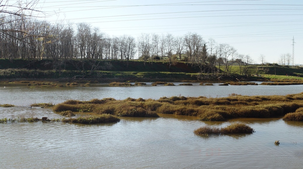 RIA SOLIA -2. ASTILLERO.CANTABRIA.SPAIN.EUROPE