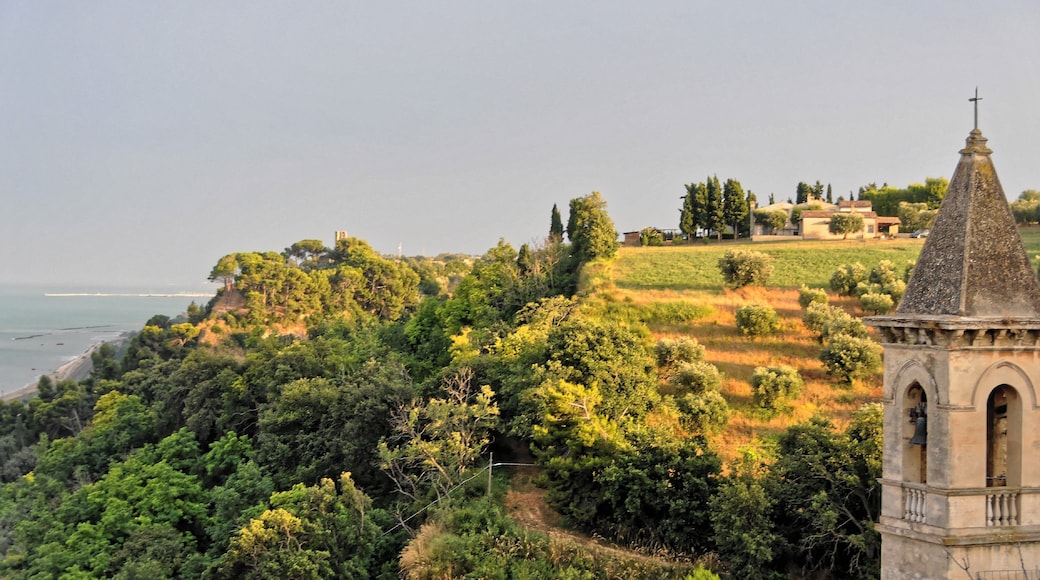 Cupra Marittima 2013