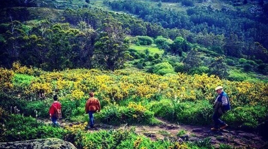 Galicia, a natural paradise for hiking lovers #LifeAtExpedia #naturelovers