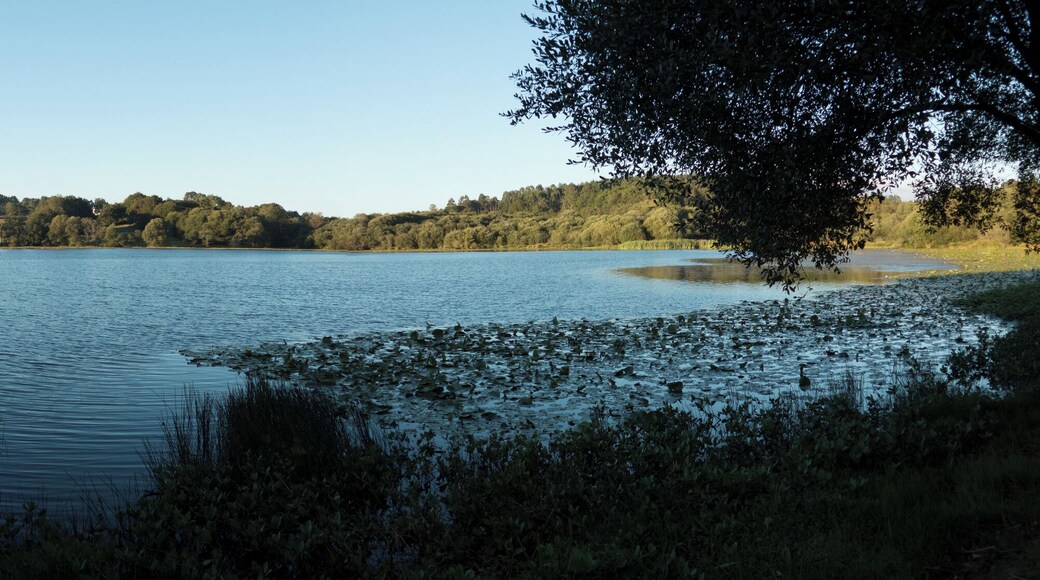 Panoramic View Lagoa de Sobrado dos Monxes, A Coruña, Galicia, Spain, October 2016.