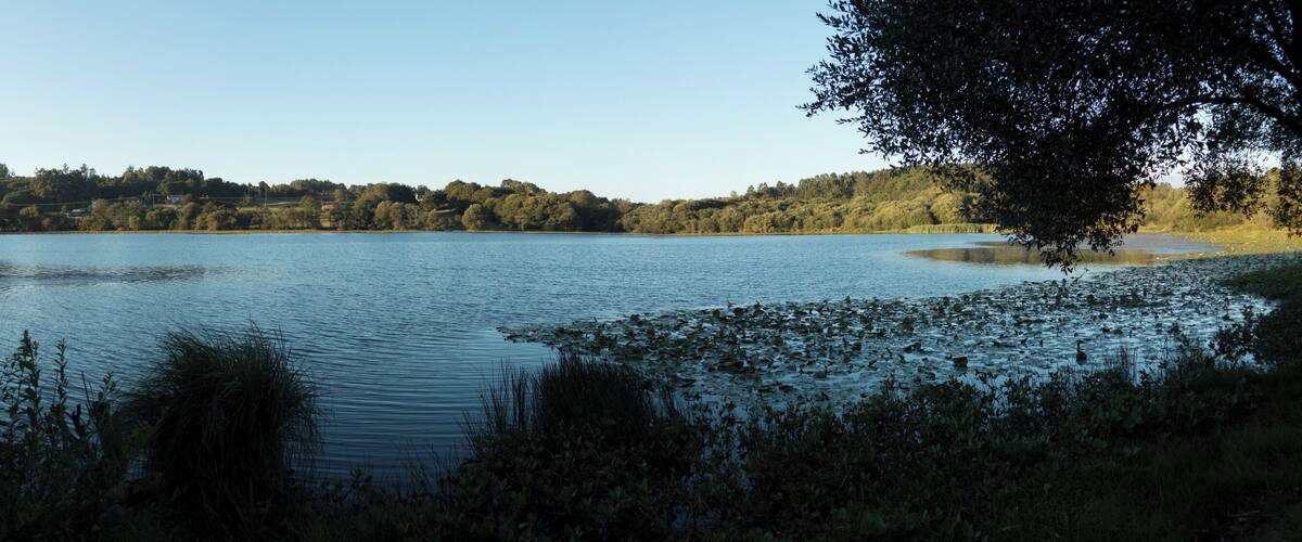 A calm lake surrounded by dense trees and a forested hill.
