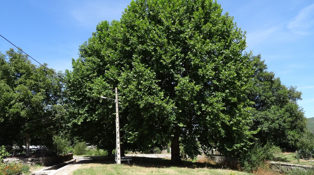 Paseo a carón do río Albarellos no concello de Monterrei, Ourense.
