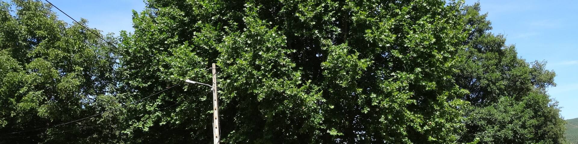 Paseo a carón do río Albarellos no concello de Monterrei, Ourense.