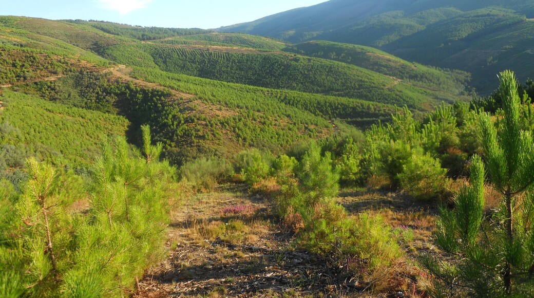 Poco antes de llegar a Rebordondo, nos acompañan estos paisajes.