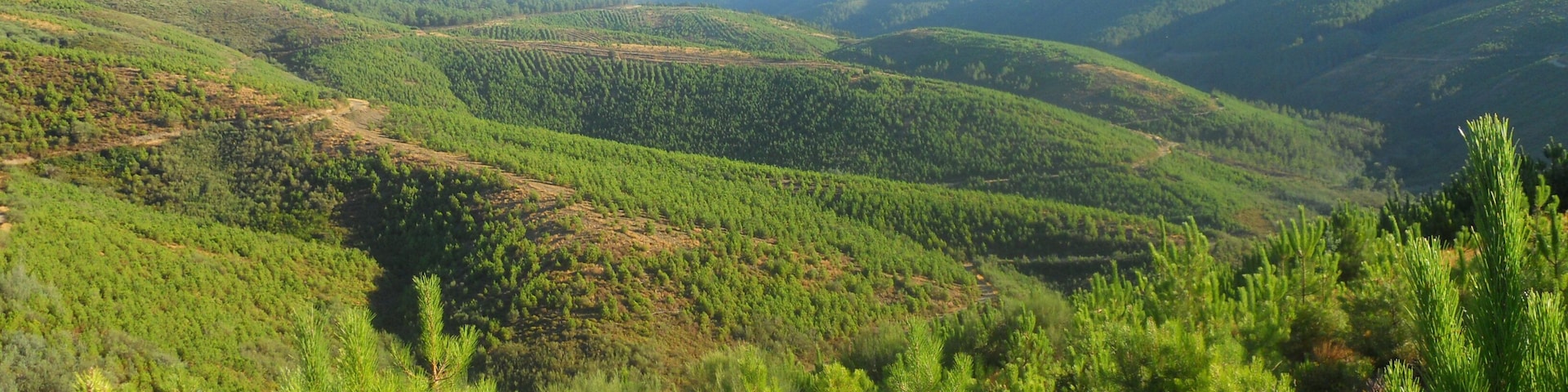 Poco antes de llegar a Rebordondo, nos acompañan estos paisajes.