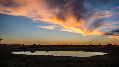 Another stunning #Africa #sunset from my Dragoman #overland trip in 2011, this time at #Okaukuejo Camp in #Namibia đłđŠ. This is within the #Etosha #NationalPark, so that pool in the foreground is actually a waterhole which is regularly used by elephants, giraffes and other amazing creatures.
#LifeAtExpedia
