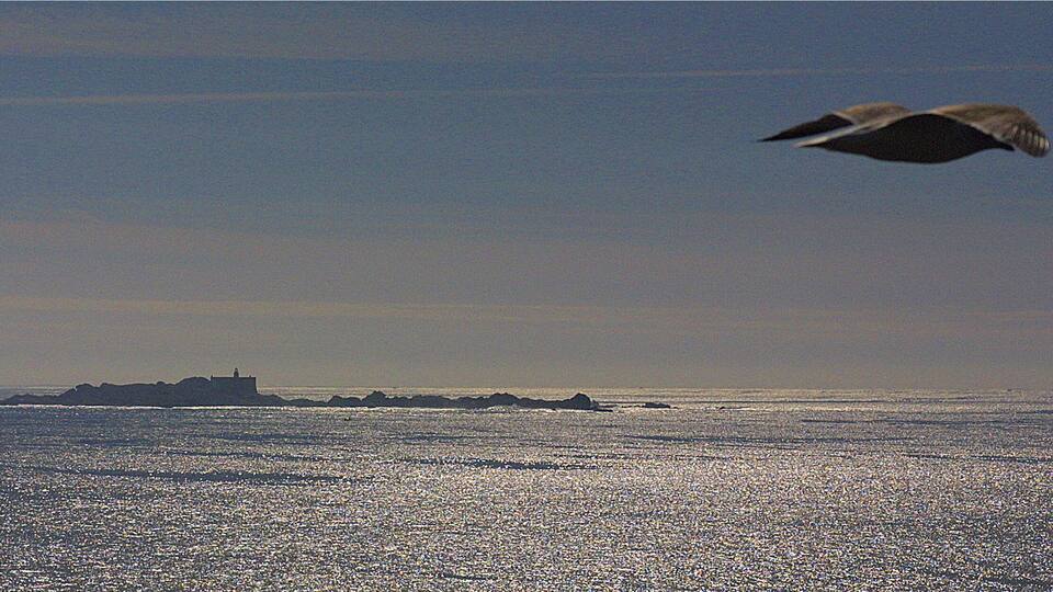 A seagull flying over a calm sea with a distant rocky coastline and a lighthouse.