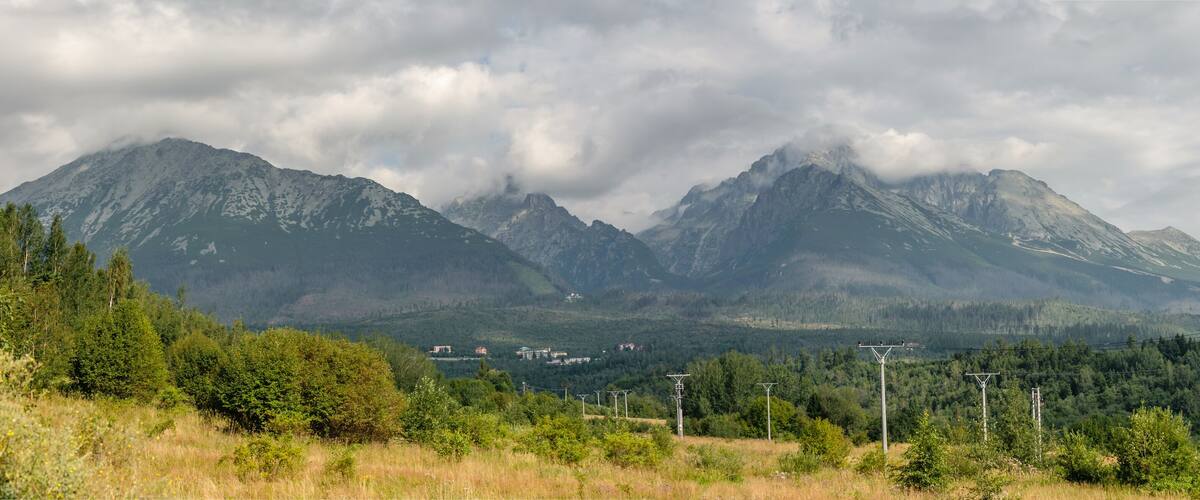 A mountainous landscape with dense forests and power lines.