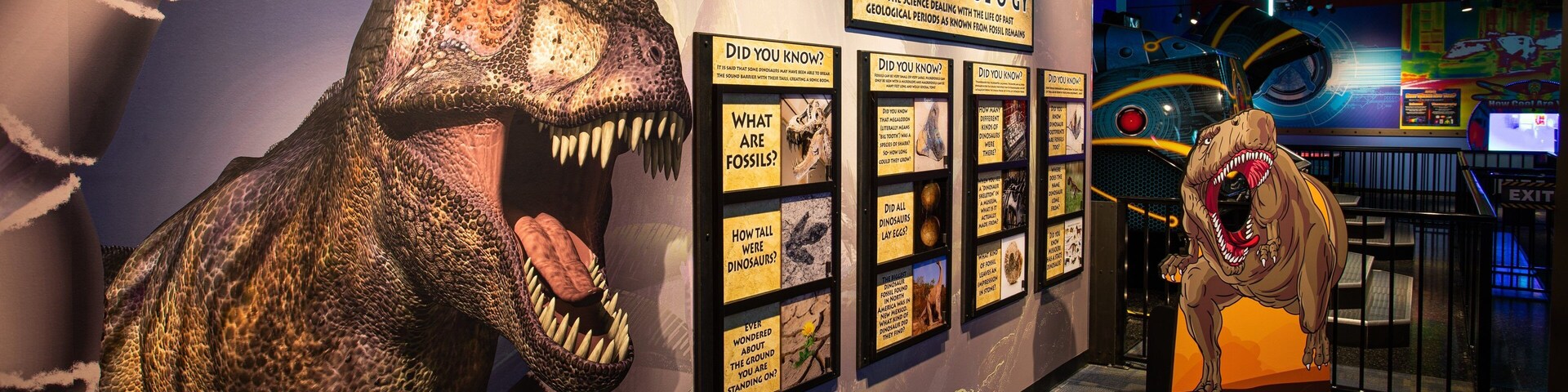 WonderWorks showing interior views