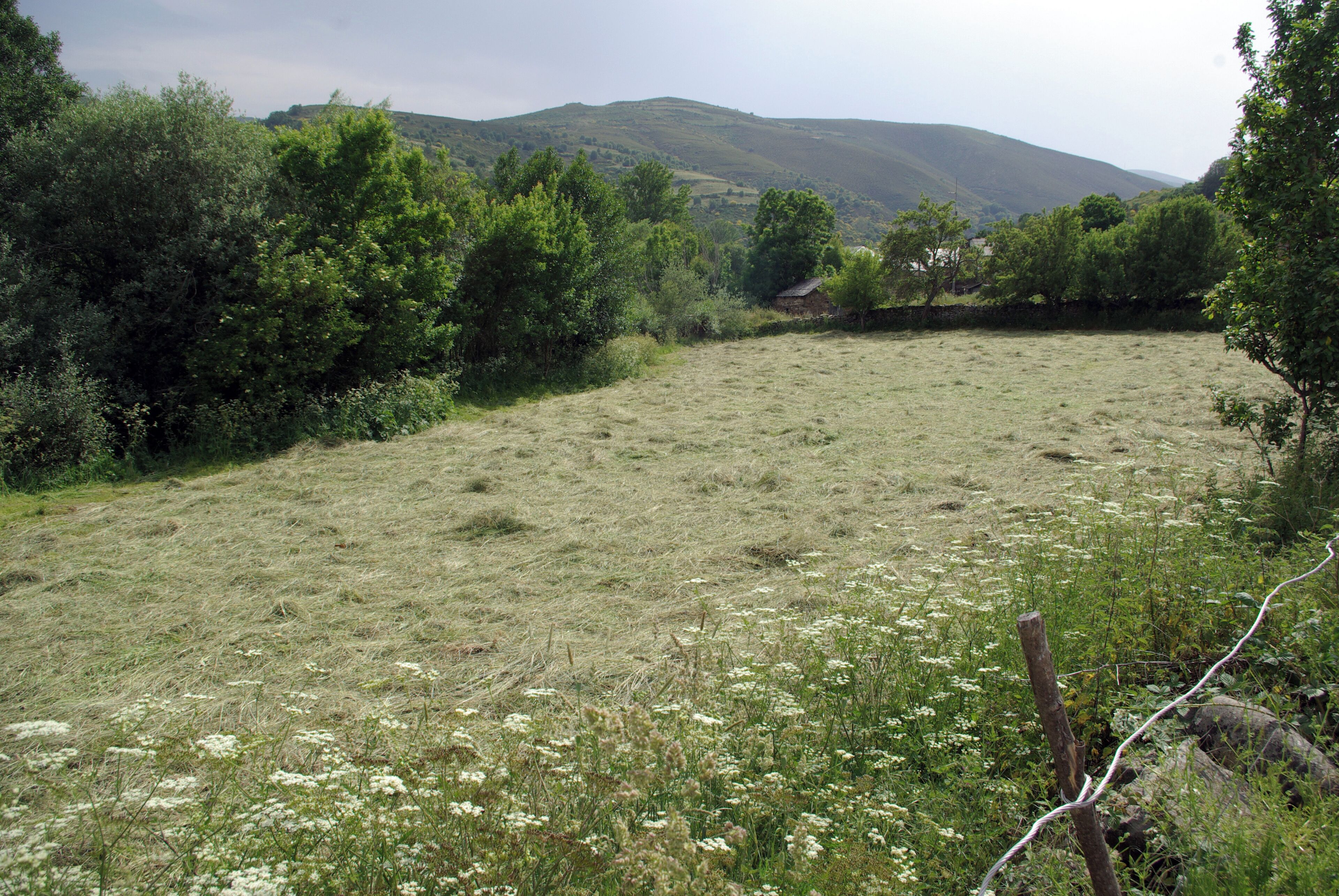 Villaverde (Riello, León, Spain)