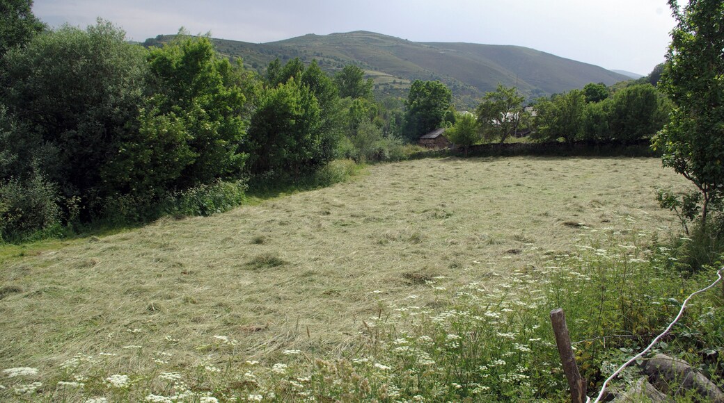 Villaverde (Riello, León, Spain)