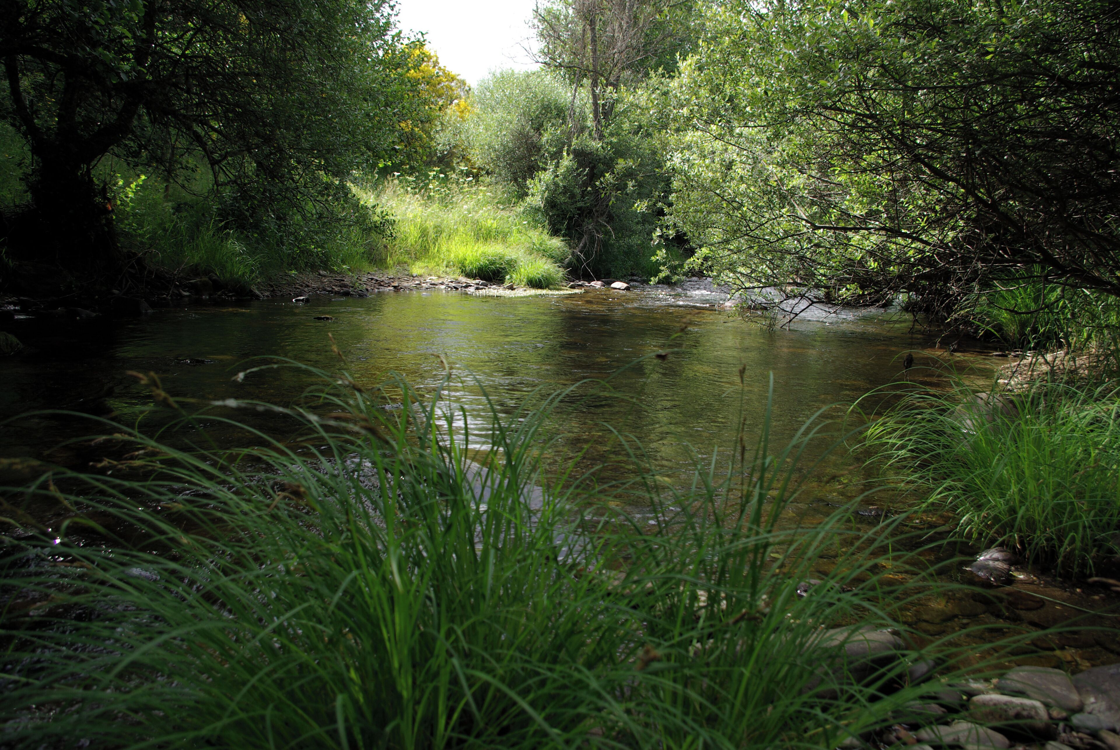 River Omaña in Omañón (Riello, León, Spain)