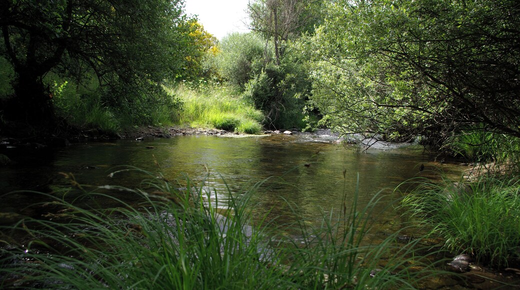 River Omaña in Omañón (Riello, León, Spain)
