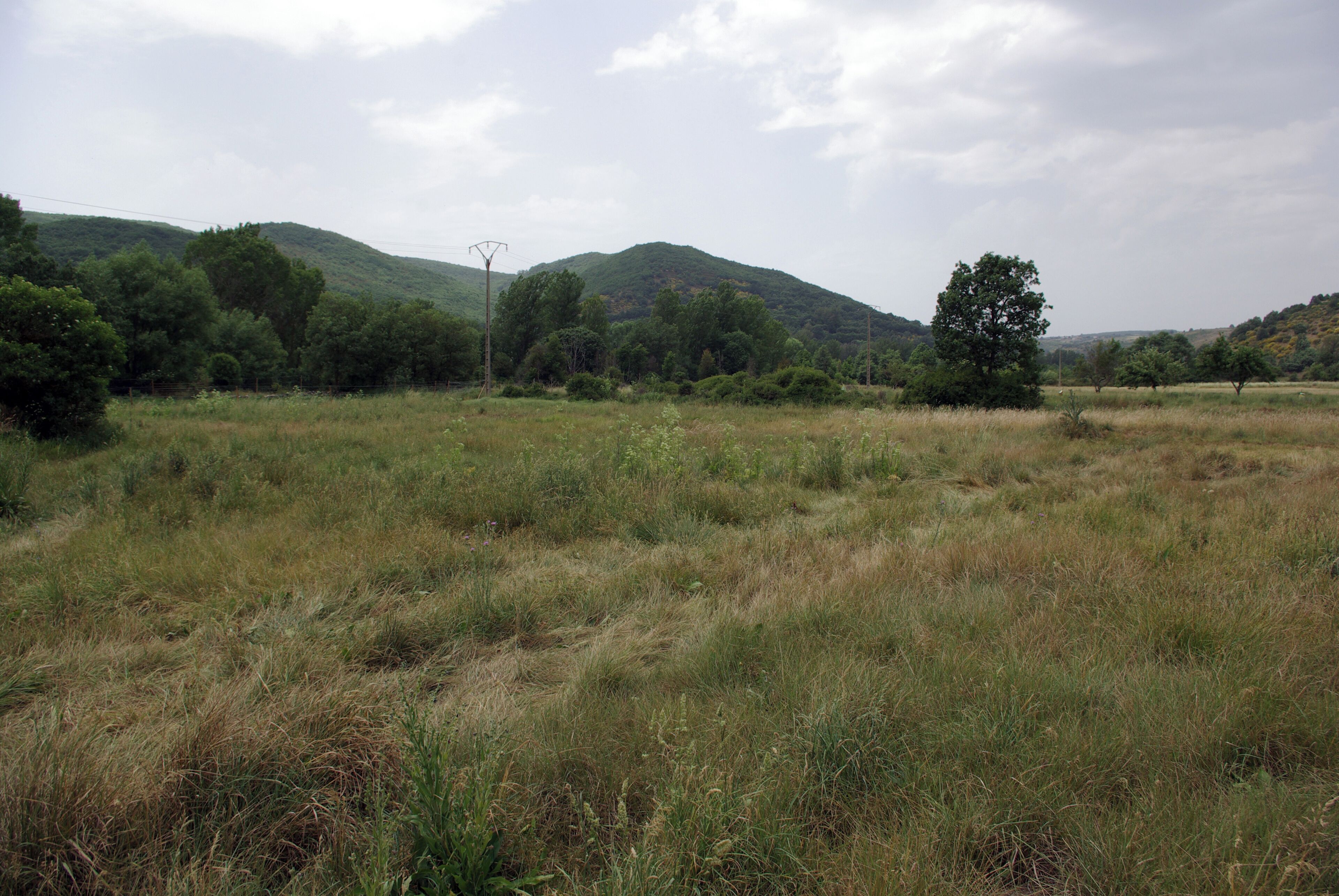 Valley of Omaña river near Trascastro de Luna (Riello, León, Spain).