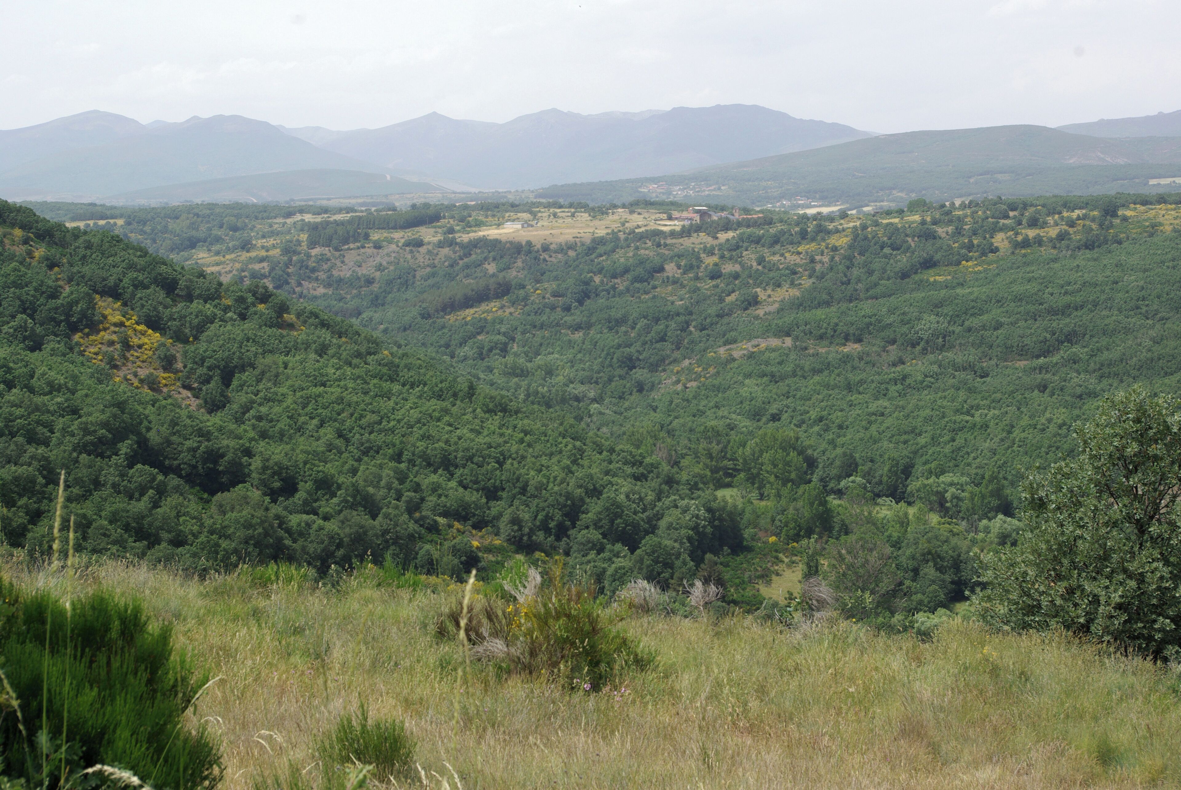 Valley of Omaña river from Castro La Lomba (Riello, León, Spain).