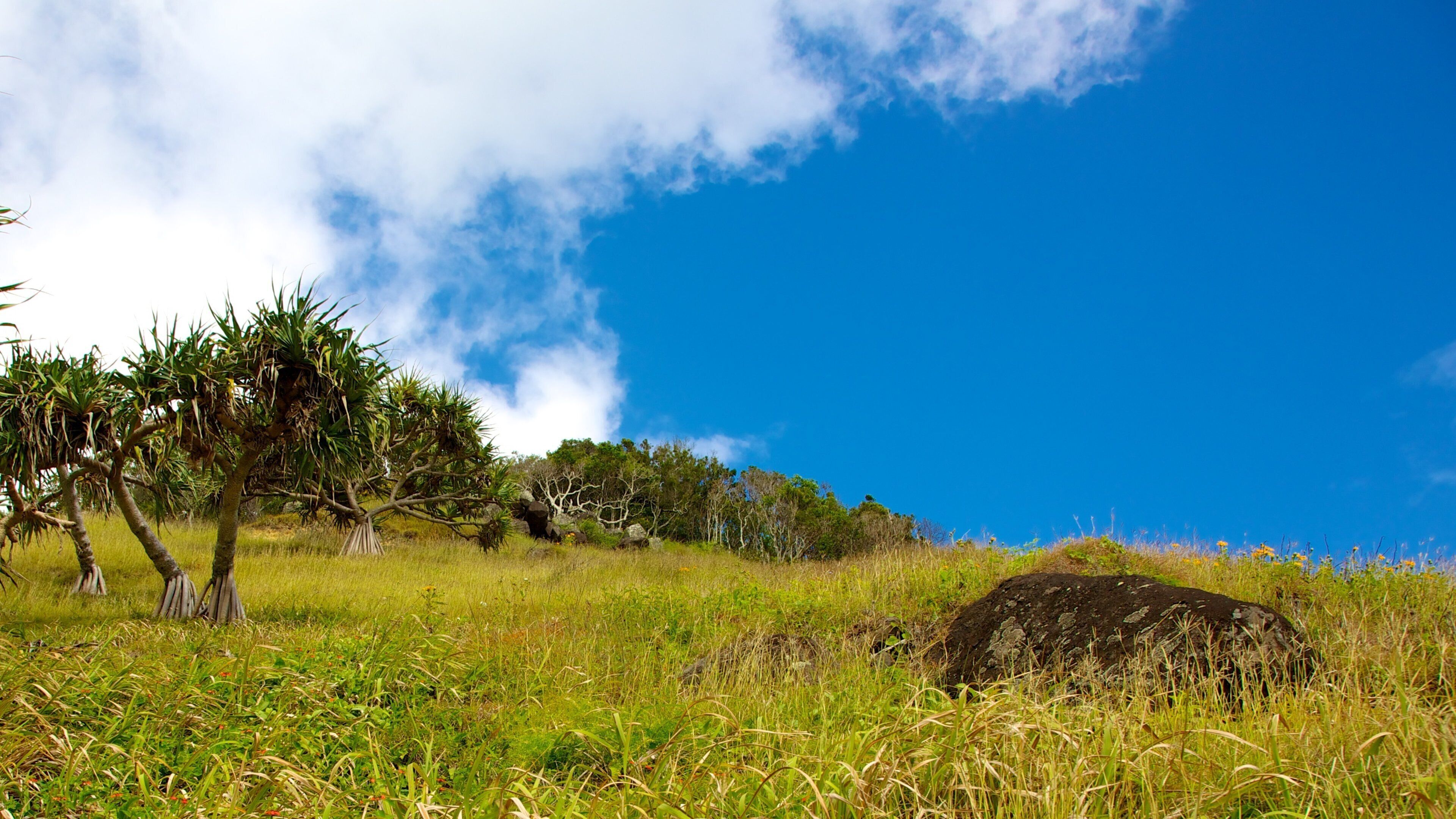 Burleigh Head National Park which includes a garden
