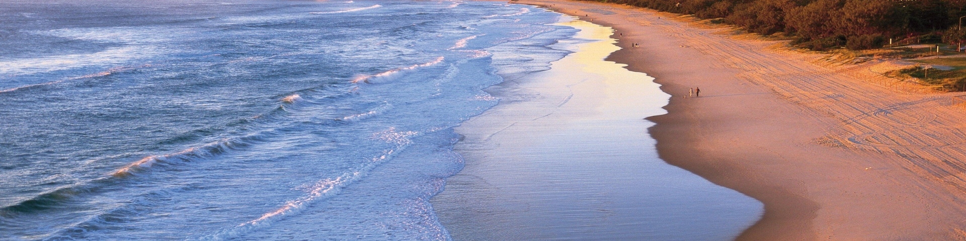 Burleigh Beach featuring a sandy beach, tropical scenes and a sunset