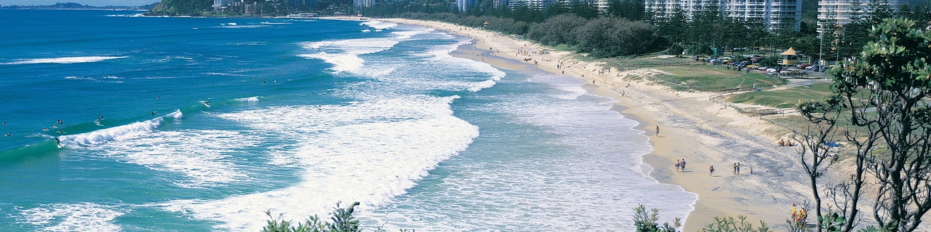 Burleigh Beach featuring city views, a skyscraper and tropical scenes