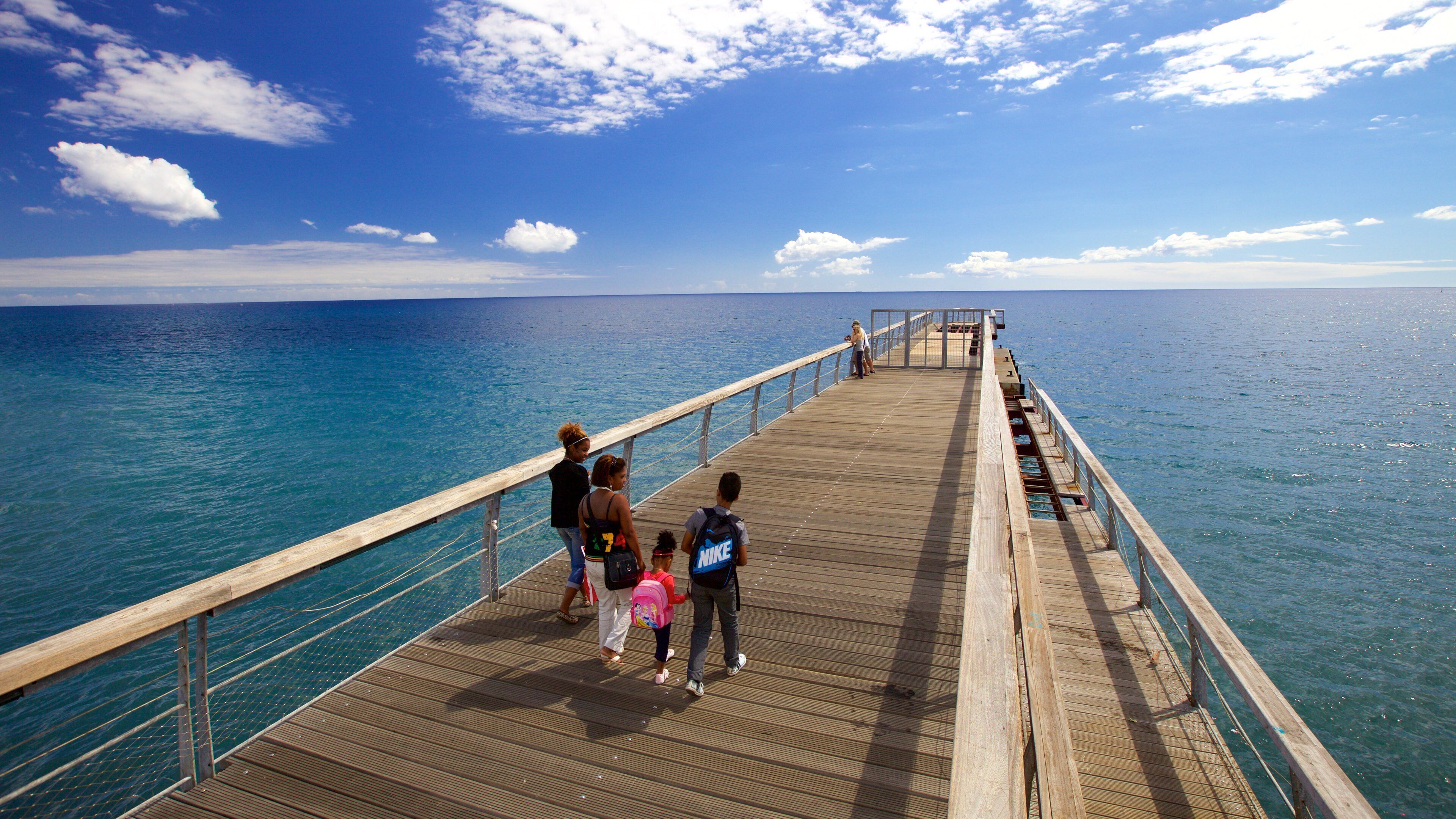 Saint-Paul ofreciendo vistas generales de la costa y también un pequeño grupo de personas