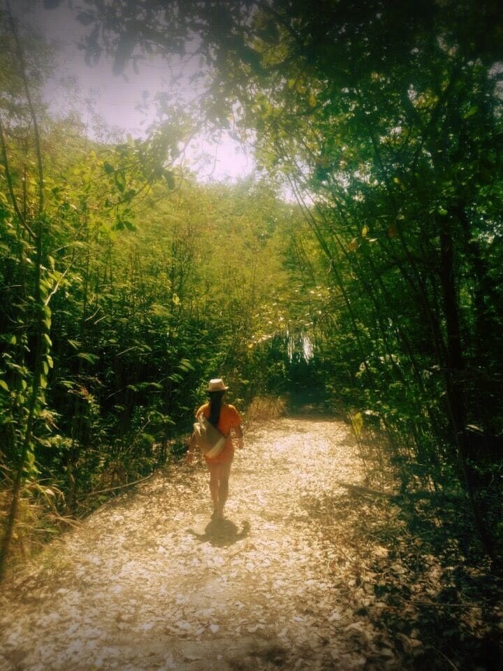 Tried out the resort's La Vallee de Palmes walking/ hiking trail and enjoyed getting bit lost as well since we ended up at the beachfront. #hiking 