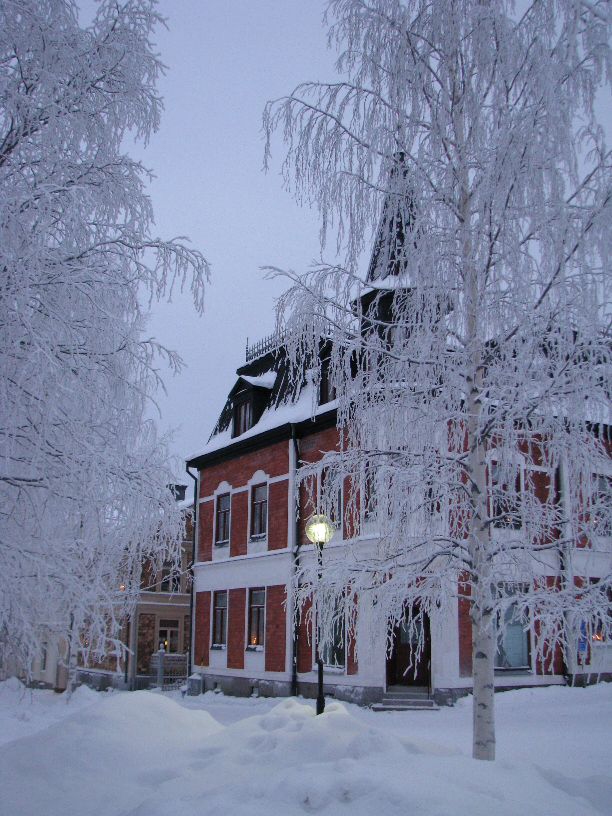 A snow-covered building with icicles hanging from the branches of trees.