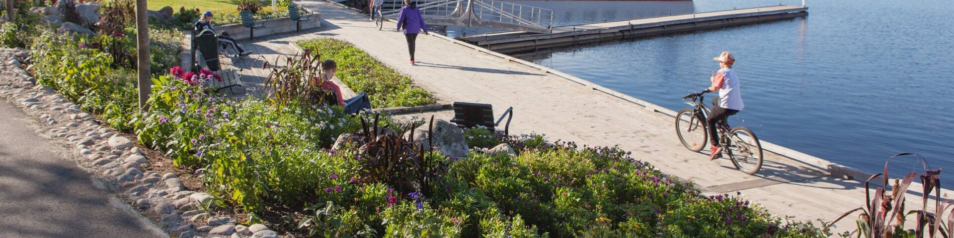 Lulea montrant jardin et baie ou port