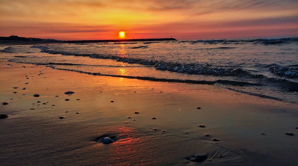 Colorful sunrise in Eraclea Mare. Sun going up in the morning with the shore of Adriatic sea on the beach in Italy.