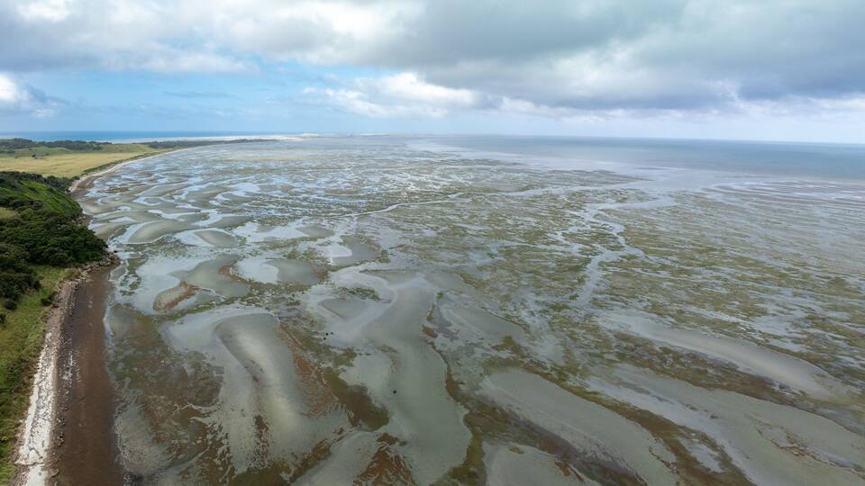 A coastal landscape with a sandy beach and a marshy area.