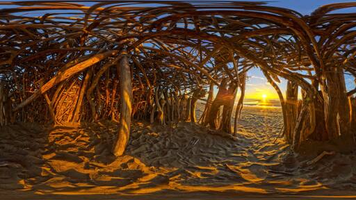 コリングウッド