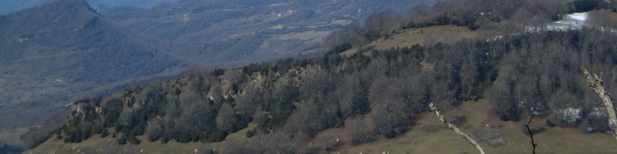 Serra d'Ensija, Pedraforca i Serra de Casí des del cim del Puigsacalm Xic (març 2011)
