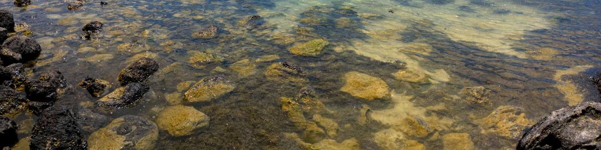 View of the sea at Calodyne located on the north coast of Mauritius island