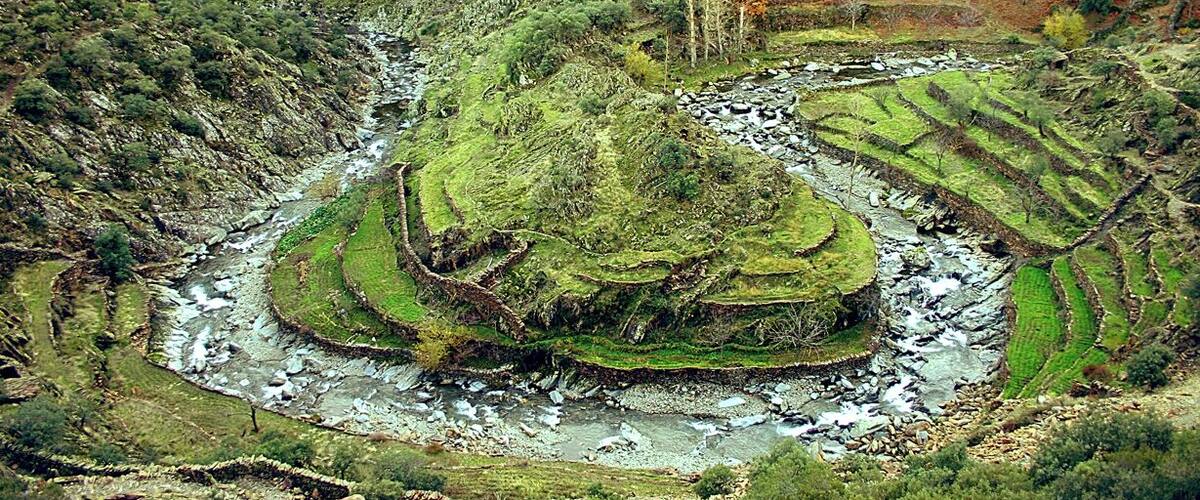 Terraced rice fields, a river, and a mountainous landscape.