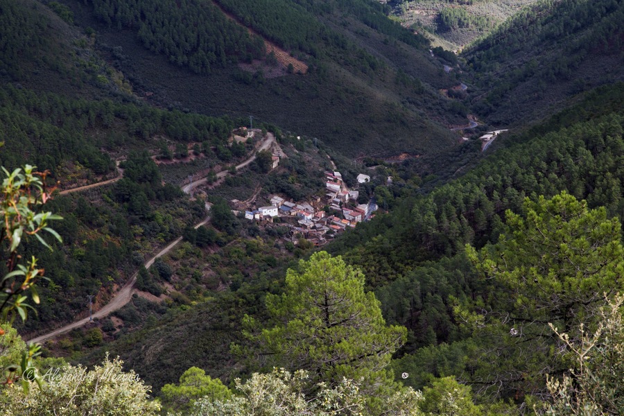 This is a photography of a Site of Community Importance in Spain with the ID: