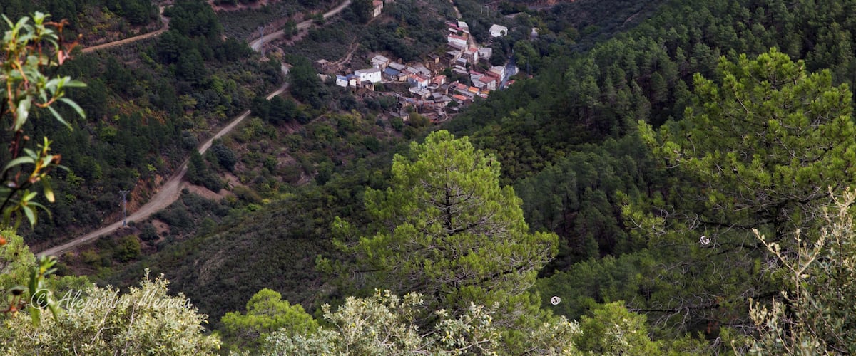A valley with a winding road, dense forest, and a small settlement with buildings.