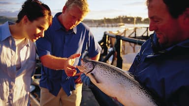 Dover featuring marine life