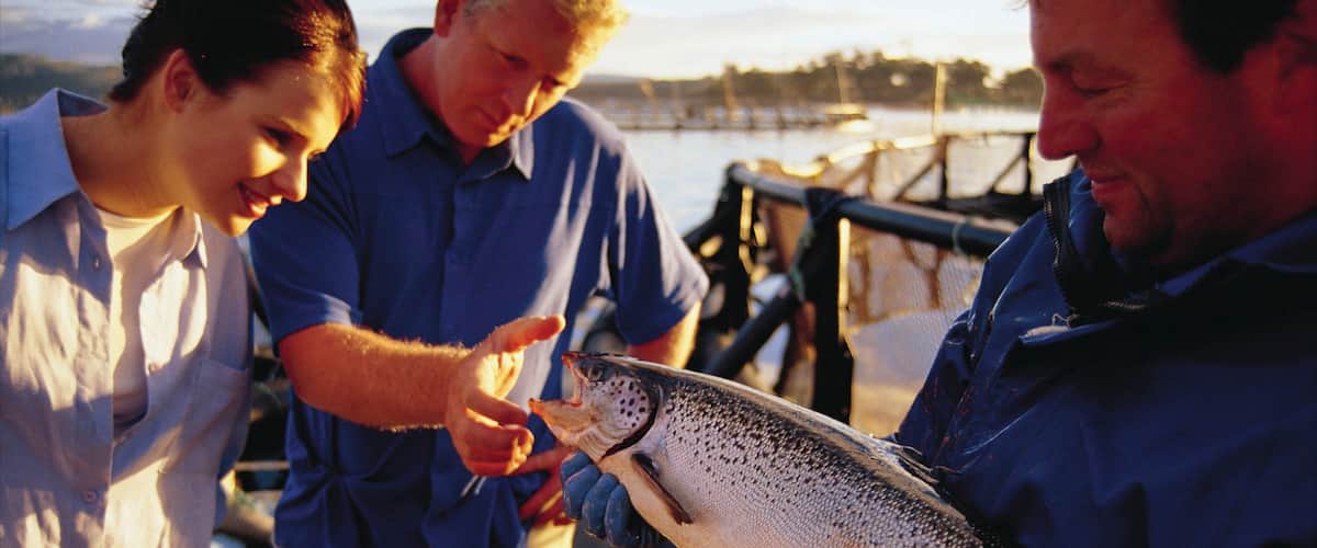Three people examining a large fish on a dock near a body of water.