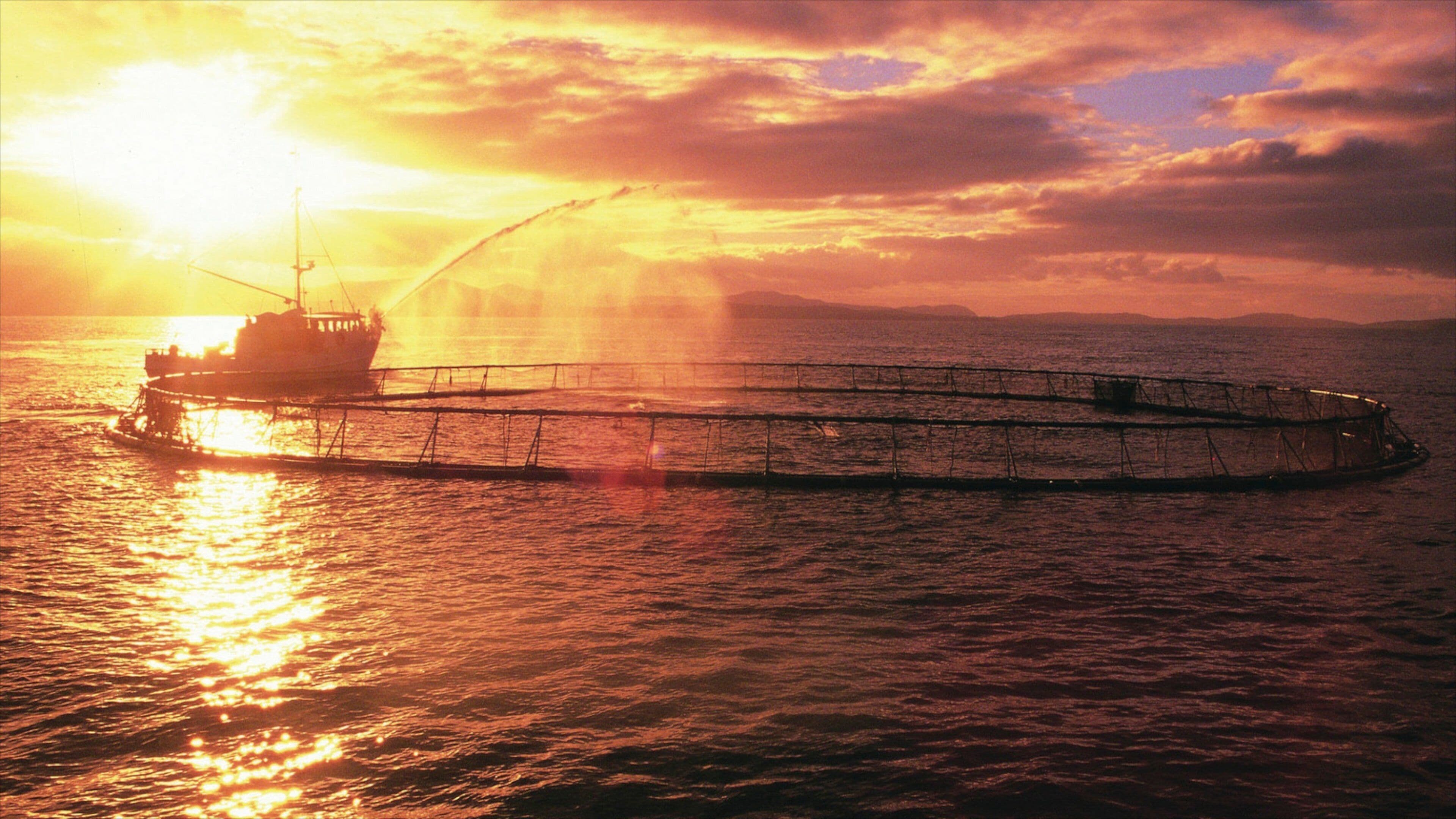 Dover which includes a sunset and fishing