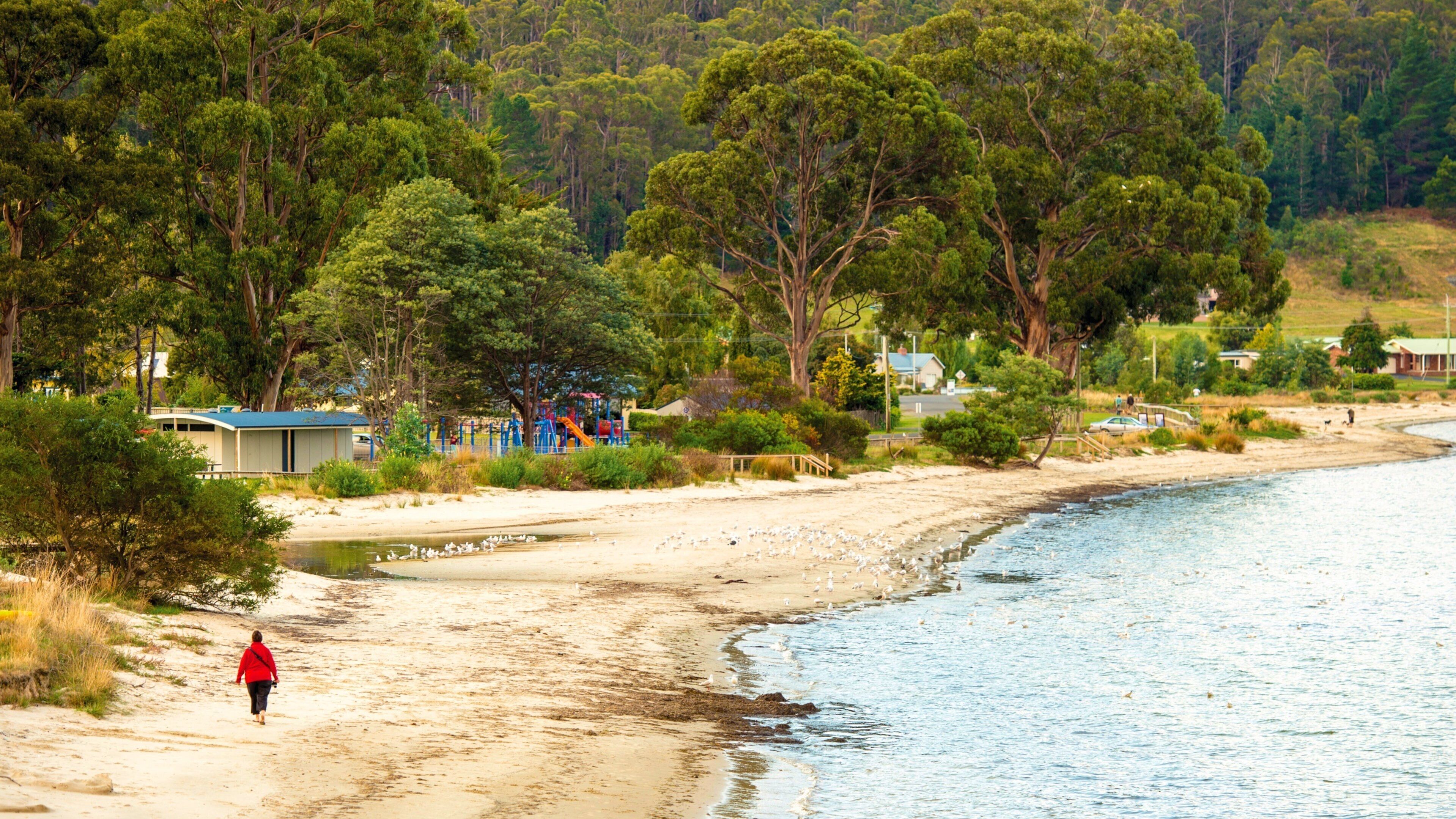 Dover das einen allgemeine Küstenansicht und Sandstrand