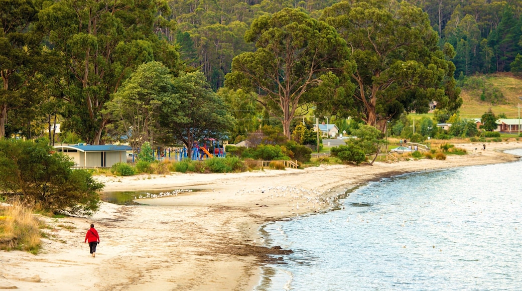Dover que incluye vistas generales de la costa y una playa
