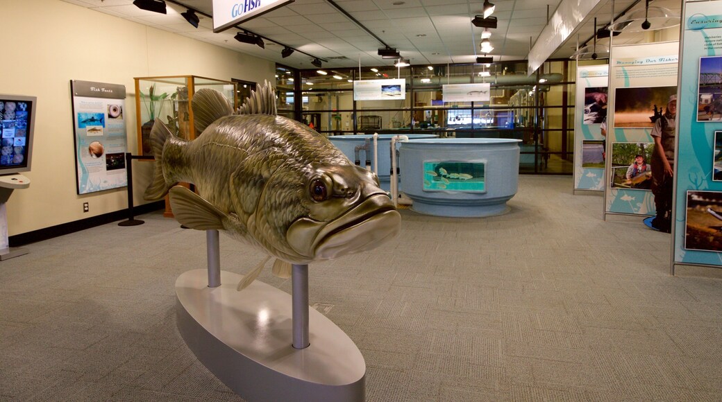 Go Fish Education Center showing marine life and interior views