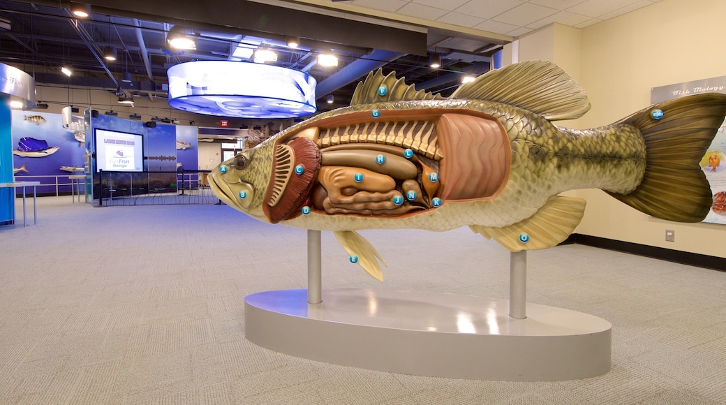Go Fish Education Center which includes interior views