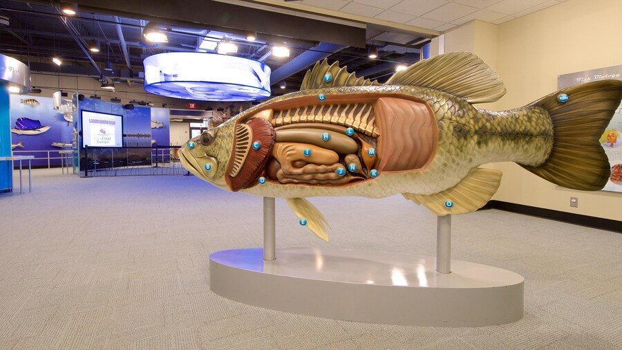 Go Fish Education Center qui includes scÚnes intérieures