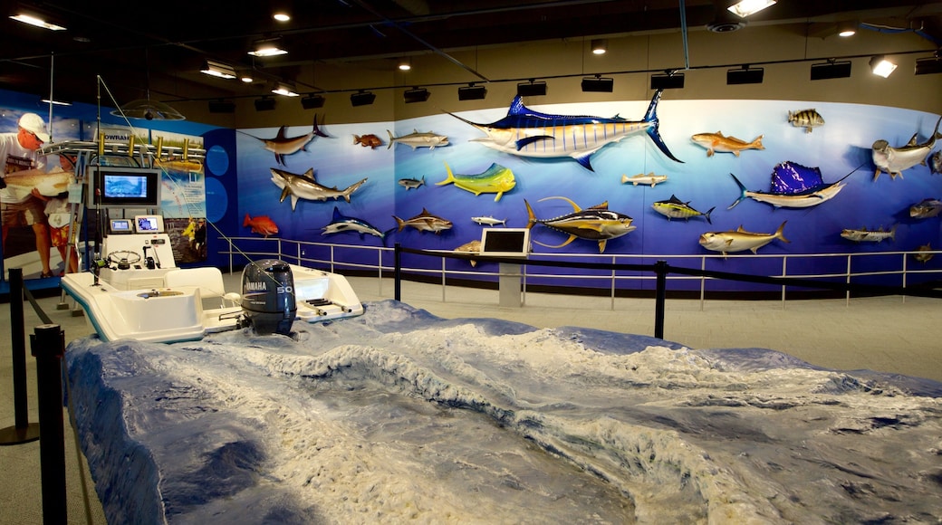 Go Fish Education Center showing marine life and interior views