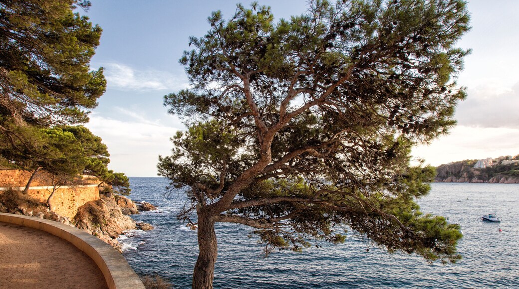 Paysage de la Costa Brava pres de Barcelone
