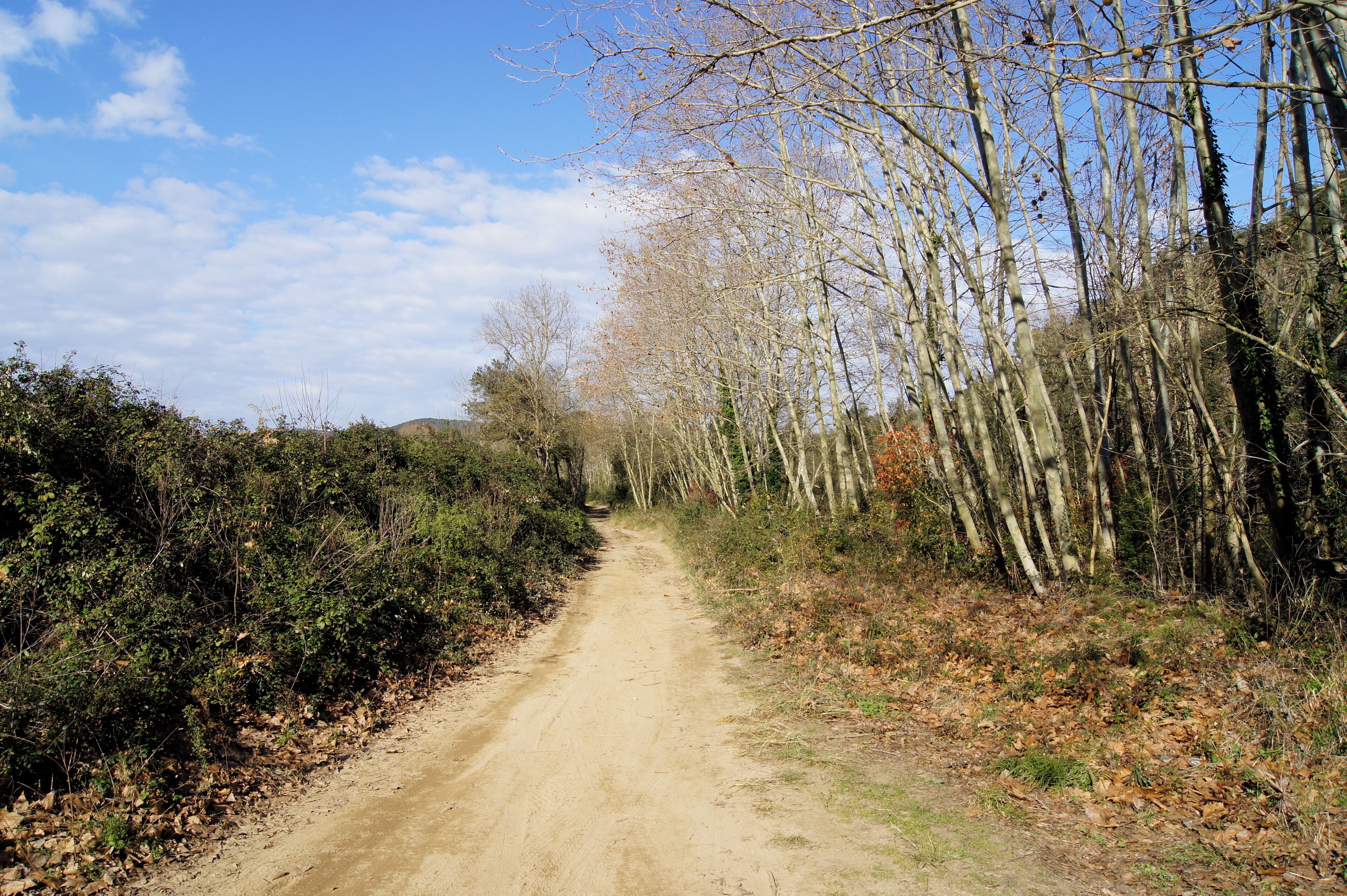 Calonge, Catalonia: The public footpath Sender de l'Aigua on the right bank of the Riera dels Molins
