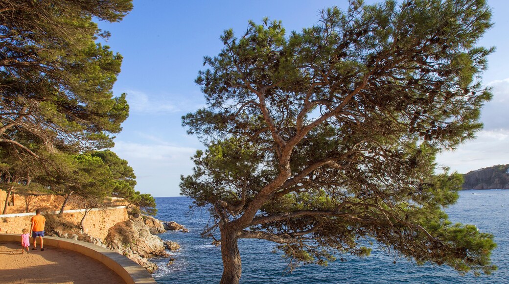 Paysage de la Costa Brava pres de Barcelone