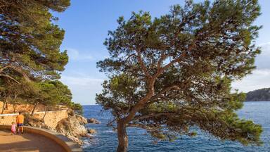Paysage de la Costa Brava pres de Barcelone